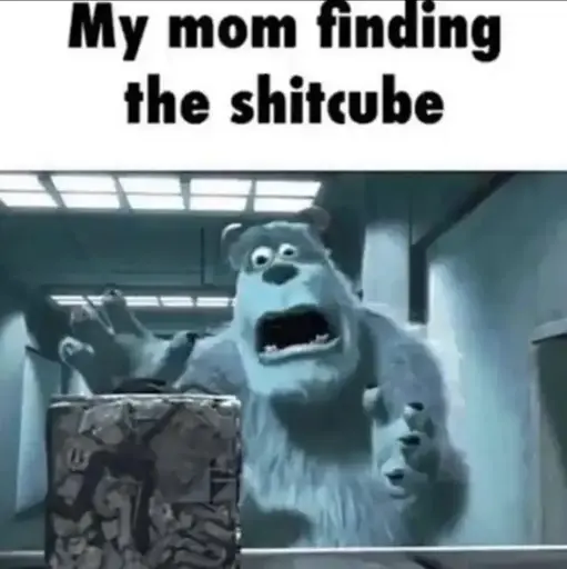 A picture of Sully from Monsters Inc looking distraught at a compressed cube of rubbish captioned with "my mom finding the shitcube".