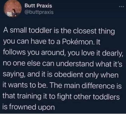 Tweet by @buttpraxis:
"A small toddler is the closest thing you can have to a Pokemon. It follows you around, you love it dearly, no one else can understand what it's saying, and it is obedient only when it wants to be. The main difference is that training it to fight other toddlers is frowned upon.