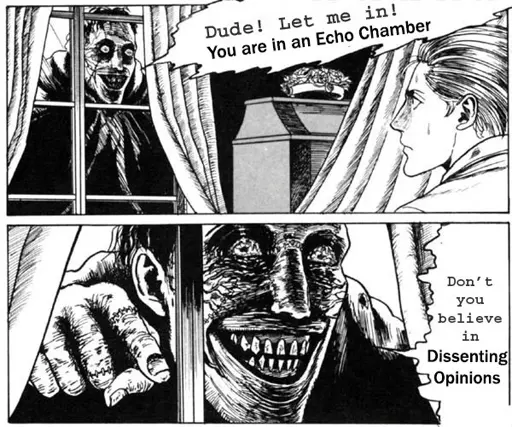 Two panels of a manga from the perspective of a man inside a house, showing a creepy smiling man standing outside and looking inside from the window. The creepy man points to the indoor man and says, “Dude! Let me in! You are in an Echo Chamber. Don't you believe in Dissenting Opinions”